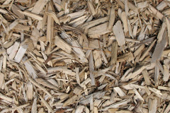 biomass boilers Penyraber
